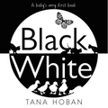 Black White: A High Contrast Book for Newborns - Board Book