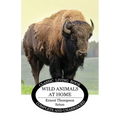 Wild Animals at Home - Paperback