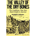 The Valley of the Dry Bones: The Conditions That Face Black People in America Today - Paperback