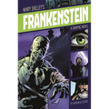 Frankenstein: A Graphic Novel - Paperback