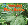 Amazing Plant Bodies: Tiny to Gigantic - Paperback