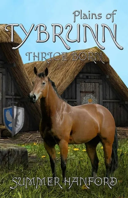 Plains of Tybrunn - Paperback