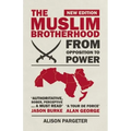 The Muslim Brotherhood: From Opposition to Power - Paperback