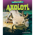 Axolotl - Library Binding