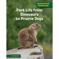 Park Life from Dinosaurs to Prairie Dogs - Library Binding