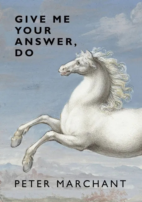 Give Me Your Answer, Do - Paperback