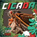 Cicada - Paperback