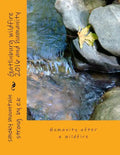 Gatlinburg wildfire 2016 and humanity: Humanity after a wildfire - Paperback