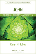 John Through Old Testament Eyes: A Background and Application Commentary - Paperback