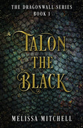 Talon the Black: A Slow Burn Fantasy Series - Paperback