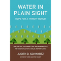 Water in Plain Sight: Hope for a Thirsty World - Paperback