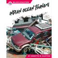 Indian Ocean Tsunami - Paperback