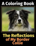 The Reflections of My Border Collie: A Coloring Book - Paperback
