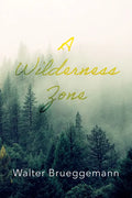 A Wilderness Zone - Paperback