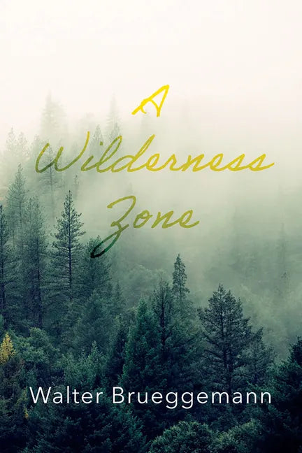 A Wilderness Zone - Paperback