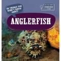 20 Things You Didn't Know about Anglerfish - Library Binding