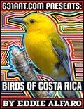 Birds of Costa Rica - Paperback