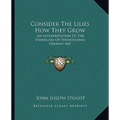 Consider The Lilies How They Grow: An Interpretation Of The Symbolism Of Pennsylvania German Art - Paperback