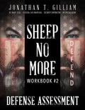 Sheep No More Workbook #2: Defense Assessment - Paperback