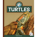 Turtles - Library Binding