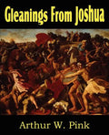 Gleanings from Joshua - Paperback