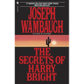 The Secrets of Harry Bright - Paperback