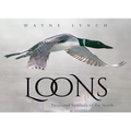 Loons: Treasured Symbols of the North - Paperback