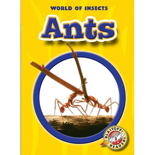 Ants - Paperback