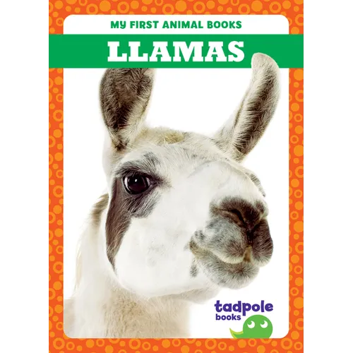 Llamas - Paperback