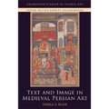 Text and Image in Medieval Persian Art - Paperback