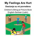 English-Serbian (Latin) My Feelings Are Hurt/Osecanja su mi povređena Children's Bilingual Picture Book - Paperback