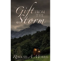 Gift from the Storm - Paperback