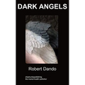 Dark Angels: a story about a mental hospital - Paperback