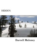 Hidden - Paperback