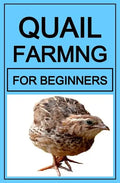 Quail Farming For Beginners - Paperback