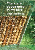 There are queen cells in my hive: - what should I do? - Paperback