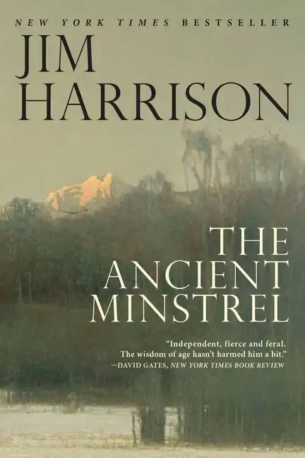 The Ancient Minstrel: Novellas - Paperback