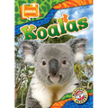 Koalas - Library Binding