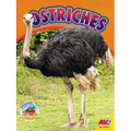Ostriches - Library Binding