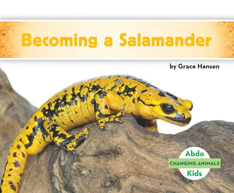 Becoming a Salamander - Library Binding