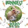 Bunnies! 2020 Mini Wall Calendar - Paperback