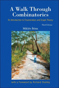 Walk Through Combinatorics, A: An Introduction to Enumeration and Graph Theory (Third Edition) - Paperback