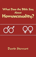 What Does the Bible Say about Homosexuality? - Paperback