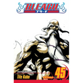 Bleach, Vol. 45 - Paperback