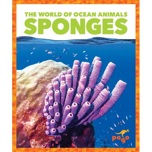 Sponges - Paperback