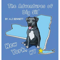 The Adventures of Big Sil New York, NY: Children's Book - Hardcover