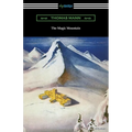 The Magic Mountain - Paperback