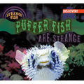 Puffer Fish Are Strange - Library Binding