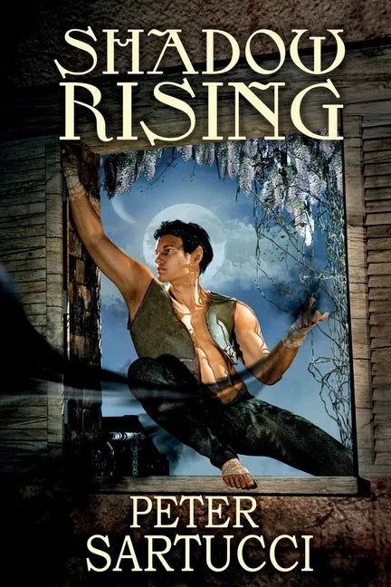 Shadow Rising: Sequel to 'Shadow and Light' - Paperback