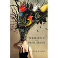 Turbulence in Small Spaces - Paperback